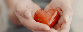 red plastic heart in person's hands