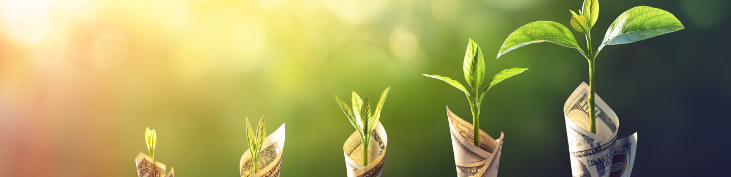 small plants surrounded by money and growing