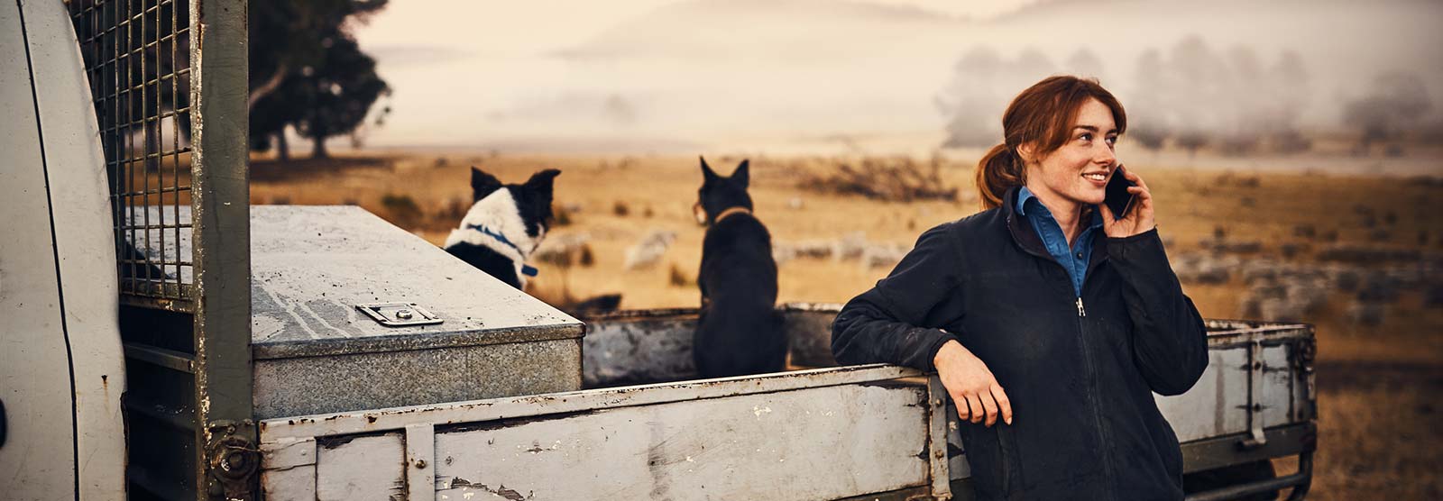 Lady with dogs using phone on a farm