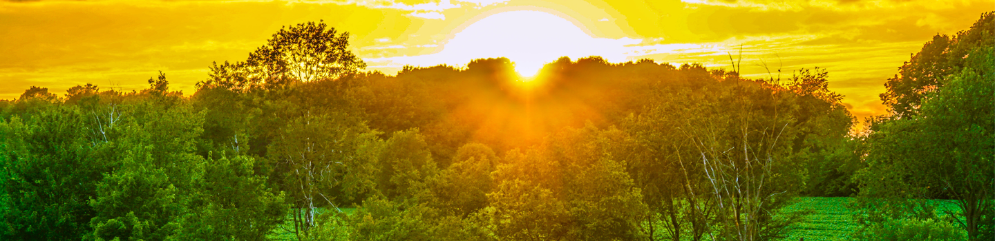sunset photo